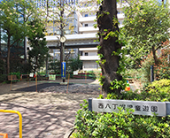 西八丁堀公園 公園改修工事 移植 Futa-toki