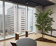 銀座 オフィス 空間 人工樹木 装飾