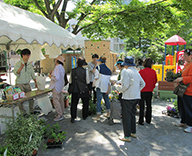 中央区 花 苗木 即売会 あかつき公園 月島第一 児童公園 ガーデニング