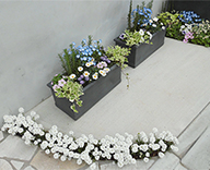 新宿 エントランス 草花 装飾