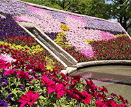 東京 墨田区 横網 公園 東京空襲犠牲者を追悼し平和を祈念する碑 花壇 春