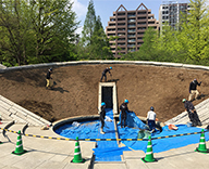 東京 墨田区 横網 公園 東京空襲犠牲者を追悼し平和を祈念する碑 花壇 春