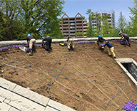 東京 墨田区 横網 公園 東京空襲犠牲者を追悼し平和を祈念する碑 花壇 春