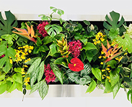 19 天王洲アイル オフィス ベクター ジャパン 造花 装飾