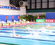 19 FINA スイミング ワールドカップ 2019 東京大会 東京 辰巳 国際水泳場 開催