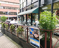 19 新宿 タリーズコーヒー 新宿御苑 観葉植物 ハンギング バスケット 植栽