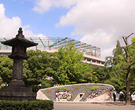 19 東京都 墨田区 横網 横網町公園 花壇 植栽 ペチュニア アゲラタム