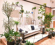 19 渋谷 TRUNK(HOTEL) 婚礼 グリーン 観葉植物 装飾