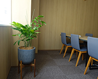 19 日本橋 オフィス 観葉植物 レンタルサービス hitotoki
