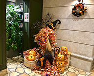 19 東京都 江東区 英語村 TOKYO GLOBAL GATEWAY ハロウィン 装飾