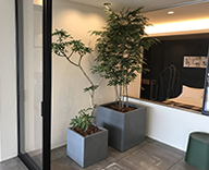 19 大阪府 和泉市 アドヴァンスアーキテクツ モデルハウス 観葉植物 造木 納品