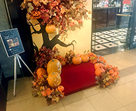 19 銀座 レストラン 三笠会館 エントランス ハロウィン 装飾 フォトスポット ステージ SEASONS