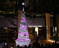 19 京橋 東京スクエアガーデン イルミネーション 装飾 点灯式 ツリー クリスマス 装飾 SEASONS