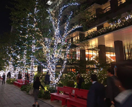 19 京橋 東京スクエアガーデン イルミネーション 装飾 点灯式 ツリー クリスマス 装飾 SEASONS
