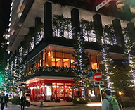 19 京橋 東京スクエアガーデン イルミネーション 装飾 点灯式 ツリー クリスマス 装飾 SEASONS