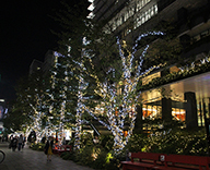 19 京橋 東京スクエアガーデン イルミネーション 装飾 点灯式 ツリー クリスマス 装飾 SEASONS