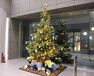 19 八丁堀 オフィスビル エントランス クリスマスツリー モミ 装飾 SEASONS