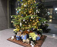 19 八丁堀 オフィスビル エントランス クリスマスツリー モミ 装飾 SEASONS