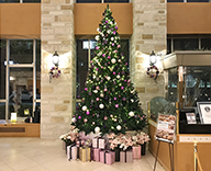 19 神戸 ホテルサンルート ソプラ神戸 4ｍ クリスマスツリー SEASONS