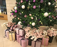 19 神戸 ホテルサンルート ソプラ神戸 4ｍ クリスマスツリー SEASONS