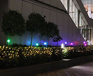 19 新宿マインズタワー クリスマス 装飾 ツリー イルミネーション SEASONS