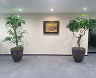 19 東京都 中央区 オフィス 観葉植物 hitotoki