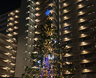 19 千葉 マンション 中庭 シンボルツリー イルミネーション 8ｍ クリスマスツリー SEASONS