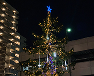 19 千葉 マンション 中庭 シンボルツリー イルミネーション 8ｍ クリスマスツリー SEASONS