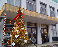 19 市川 自動車 教習所 イチイの木 クリスマス 装飾 SEASONS