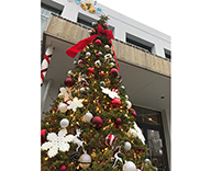 19 市川 自動車 教習所 イチイの木 クリスマス 装飾 SEASONS