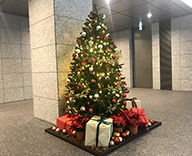 19 渋谷 日本橋 八重洲 都内 オフィス ビル エントランス クリスマツリー SEASONS