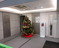 19 渋谷 日本橋 八重洲 都内 オフィス ビル エントランス クリスマツリー SEASONS