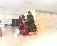 19 関空 関西 エアポート ワシントン ホテル 館内 クリスマス 装飾 レッド ゴールド SEASONS