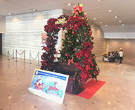 19 関空 関西 エアポート ワシントン ホテル 館内 クリスマス 装飾 レッド ゴールド SEASONS