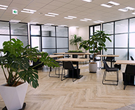 19 ENGLISH COMPANY 銀座 スタジオ レンタル 観葉植物 hitotoki