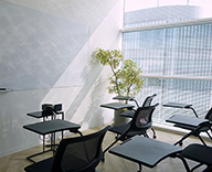 19 ENGLISH COMPANY 銀座 スタジオ レンタル 観葉植物 hitotoki