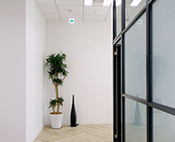 19 ENGLISH COMPANY 銀座 スタジオ レンタル 観葉植物 hitotoki