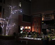 19 品川 ビル イルミネーション エントランス クリスマス 装飾 SEASONS
