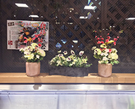 20 大阪 咲菜 店舗 春 アートフラワー アレンジメント 装飾