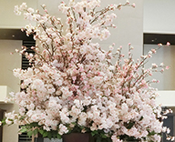 20 大阪 商業施設 桜 装飾