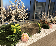 20 丸の内 オフィス 桜 装飾