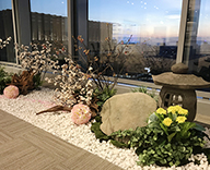 20 丸の内 オフィス 桜 装飾