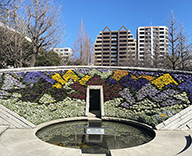 20 東京 墨田区 横網町 公園 春季慰霊大 法要 式典 花壇 管理