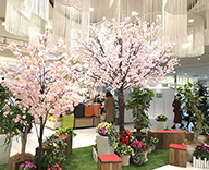 20 新横浜 新横浜 プリンスぺぺ 館内 桜装飾