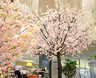 20 新横浜 新横浜 プリンスぺぺ 館内 桜装飾