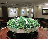 20 千葉県 コーヒーショップ フェイクグリーン 装飾 癒しの空間演出 SEASONS