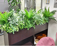 20 赤坂 オフィス 企業 パーテーション フェイクグリーン 装飾