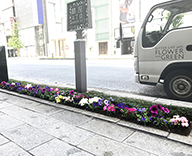 20 銀座 1丁目 8丁目 4丁目 花壇 植え替え 除草メンテナンス