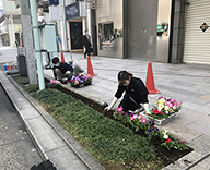 20 銀座 1丁目 8丁目 4丁目 花壇 植え替え 除草 メンテナンス