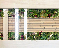 20 静岡市 メーカー マンション ギャラリー 壁面 グリーン 造花 装飾